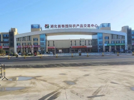 孝感首衡城智慧冷鏈物流A地塊、M地塊大門(mén)幕墻工程